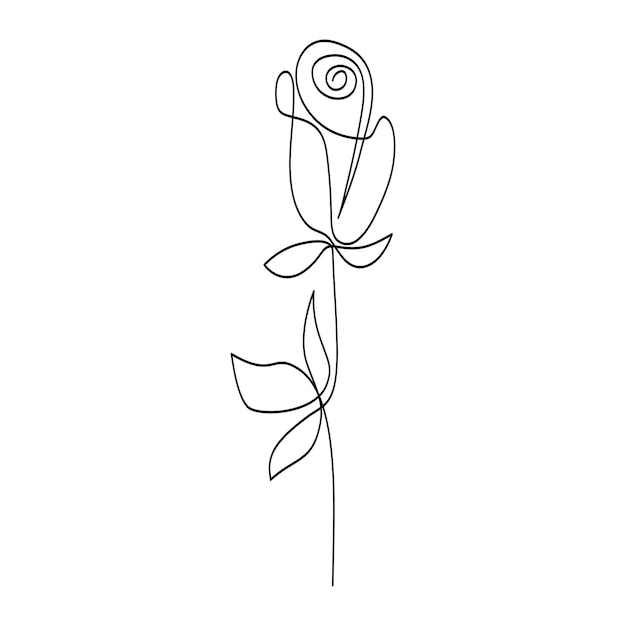 Vector continuous single line of rose flower drawing outline vector art illustration