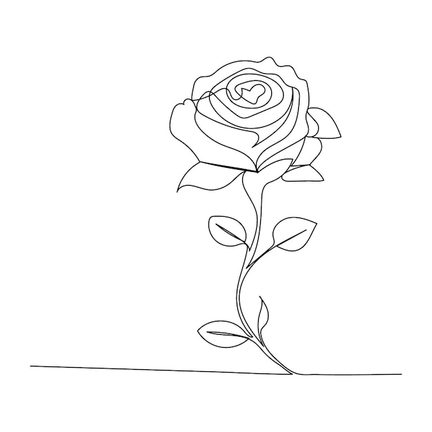 Continuous single One line rose design hand drawn drawing roses line art illustration