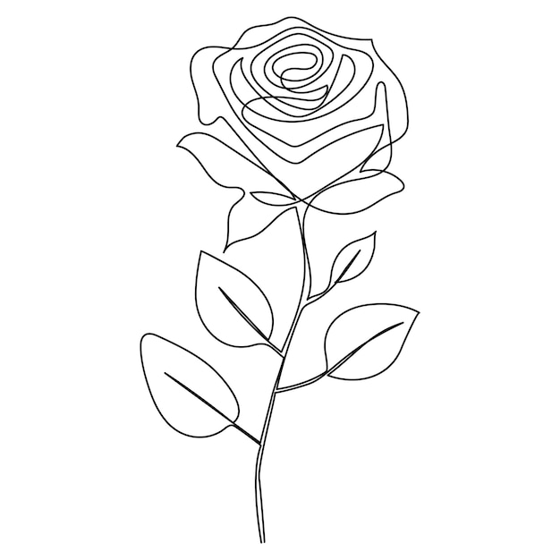 Continuous single One line rose design hand drawn drawing roses line art illustration