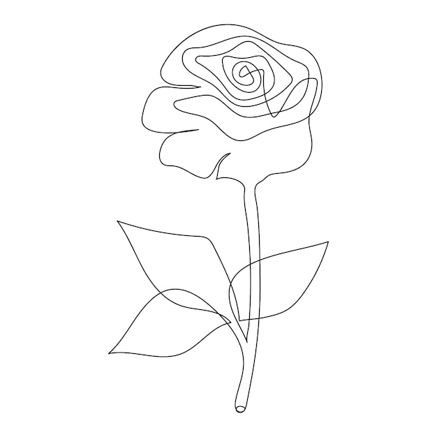 Continuous single One line rose design hand drawn drawing roses line art illustration