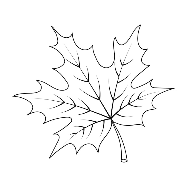 Contour maple leaf, sketch on a white background. Autumn print, illustration, vector