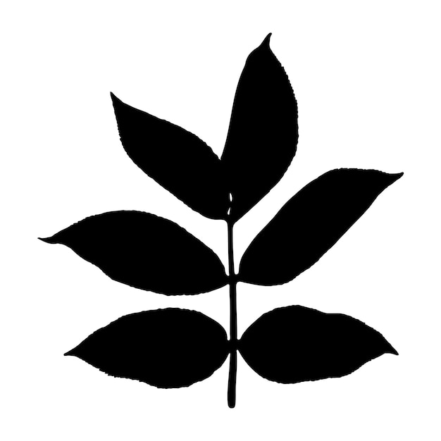 The contour of a sprig of a tree or grass with leaves Black outline of a shrub branch plant