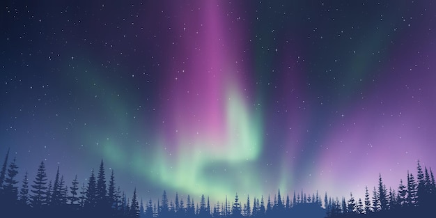 Vector contour of trees against the background of aurora borealis winter illustration