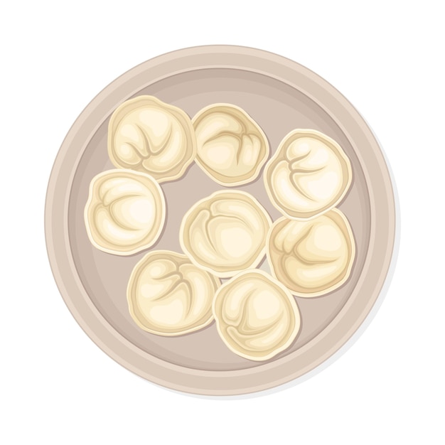 Vector cooked dumplings served on ceramic plate top view vector illustration