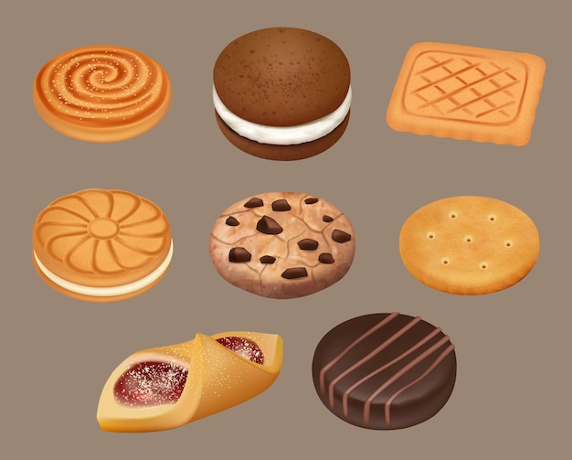 Cookies. Realistic delicious sugar cookies decent vector illustrations. Snack dessert, chocolate taste crunchy cookies