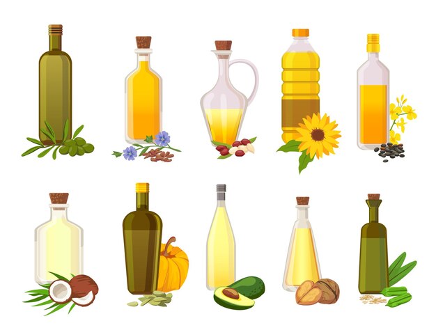 Vector cooking oil bottles. natural vegetable, olive, sunflower, avocado and coconut virgin organic oils in glass with ingredient plants vector set