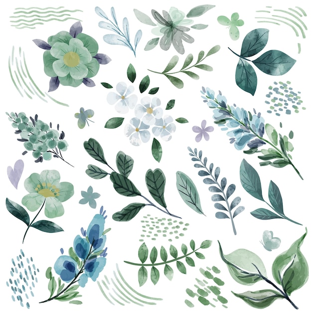 Cool green botanical florals hand drawn watercolor elements