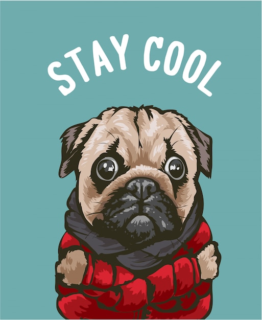 cool slogan with cartoon dog in red jacket illustration