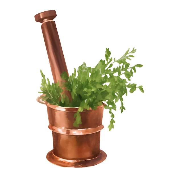 Copper Mortar and Pestle with Herbs Isolated Hand Drawn Painting Illustration