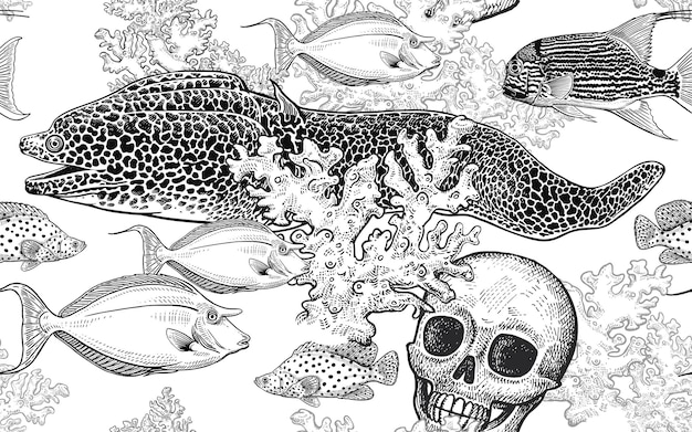 Coral decorative fish corals and human skull Seamless pattern Kitchen design