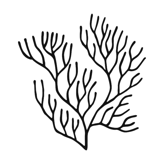 Coral Hand drawn illustration converted to vector