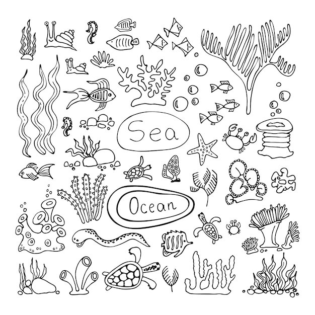 Coral reef marine set Fish turtles crabs snails underwater plants algae stones Hand drawn line art