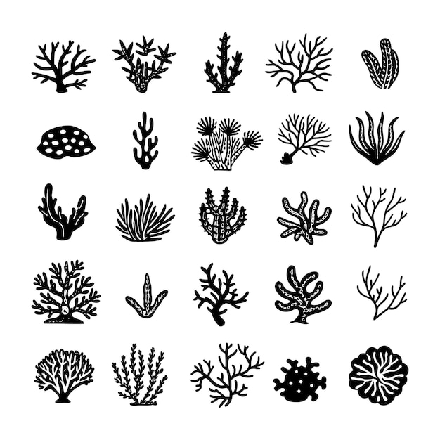 Coral Reef Vector Art Illustration