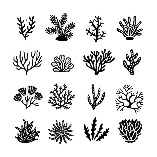 Vector coral reef vector art illustration