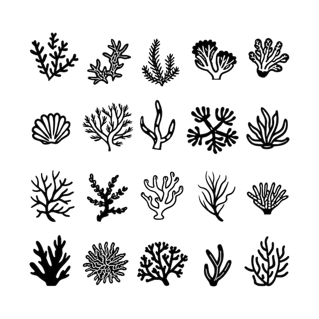 Coral Reef Vector Art Illustration