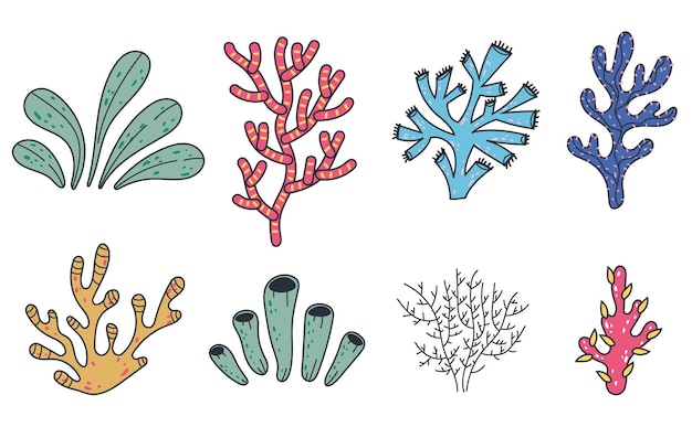 Coral sea plant seaweed ocean tropical nature doodle line art style isolated set collection