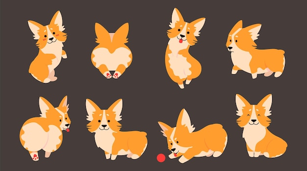 Vector corgi characters domestic pet cartoon animal in different poses cute and funny puppy with various emotions dog plays with red ball isolated stickers illustration vector set on dark background