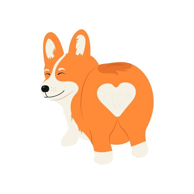 Vector corgi dog cute puppy vector illustration