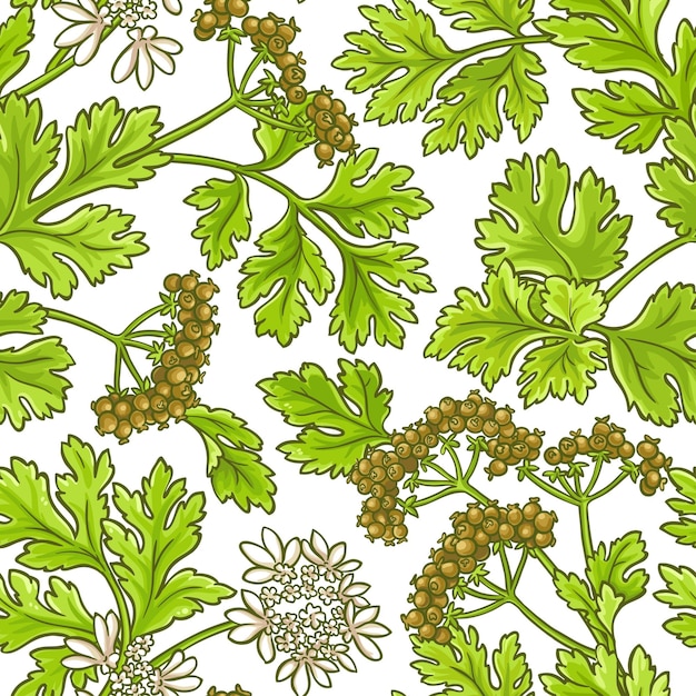 Coriander vector pattern