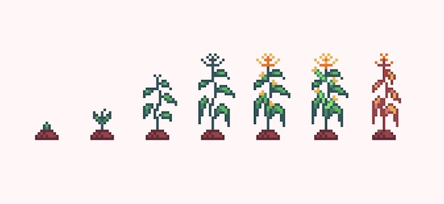 Corn plant growth progress pixel art. Sapling germination stages 8 bit sprite.