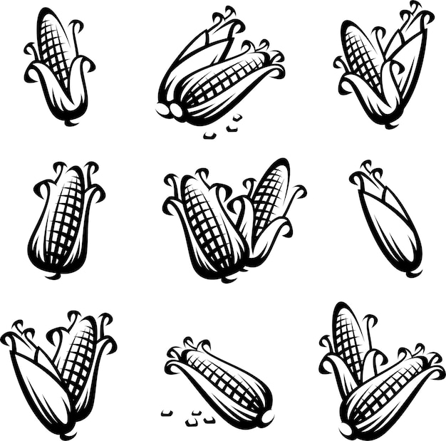 Corn set Collection icon corn Vector