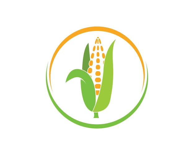 Corn vector icon illustration design