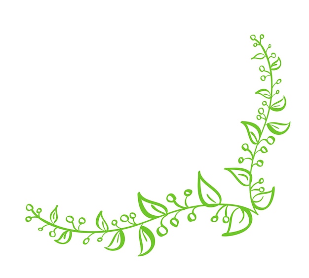 Corner Green Vector Hand Drawn Calligraphic Spring Flourish Design Element Floral light style