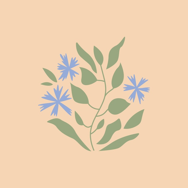 Cornflower on an isolated background Vector flat illustration of summer flower