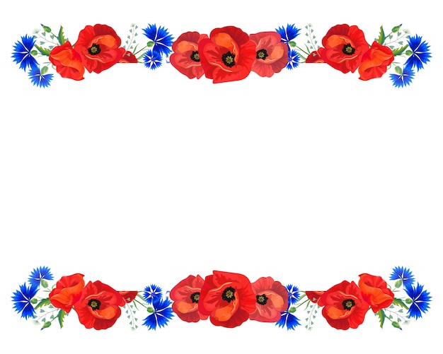 Cornflowers, poppies on a white background.