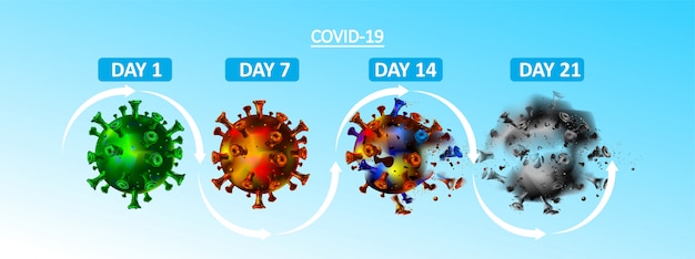 Corona virus life cycle in a days, weeks, and months. Covid-19 from life until death concept. Coronavirus is gone.