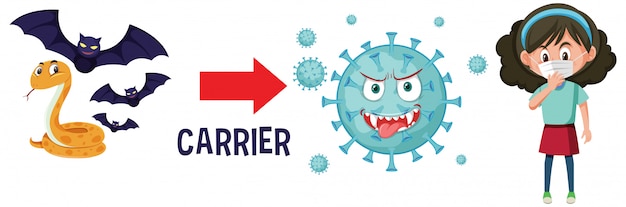 Vector coronavirus with carriers to human on white