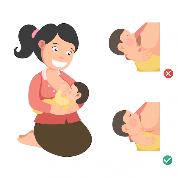 Correct breastfeeding position.illustration