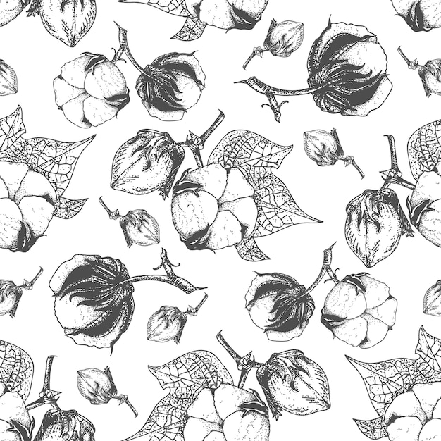 cotton seamless pattern hand drawn