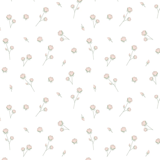 Cotton seamless pattern