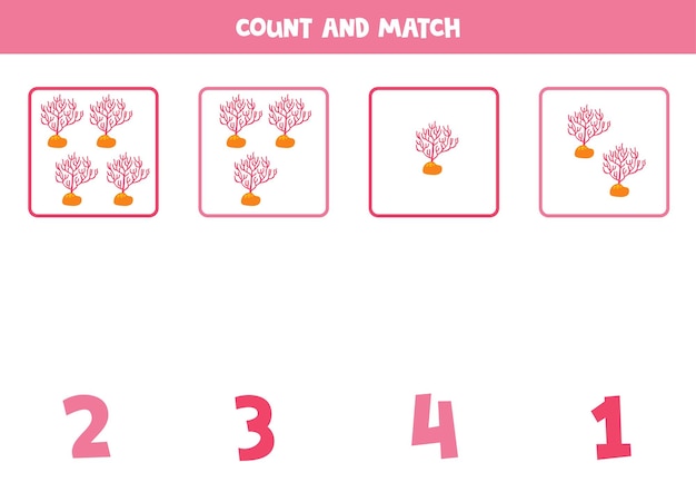 Count all corals and match with the correct number