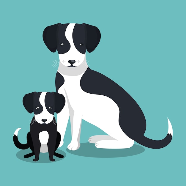 couple breed dogs isolated icon design