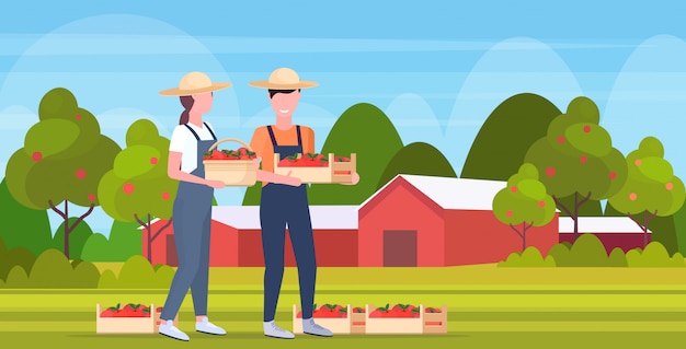 couple farmers holding red ripe apples crates man woman agricultural workers harvesting fruits eco farming concept farmland countryside landscape  full length