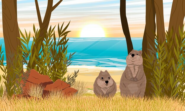 Vector a couple of quokkas on the shore of the ocean sandy coast with dry grass and red stones