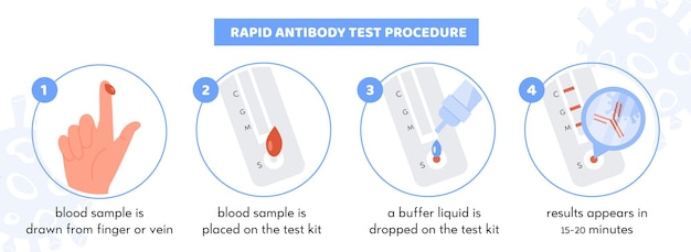 covid rapid antibody test procedure infographic. coronavirus test kit with patient blood sample. 