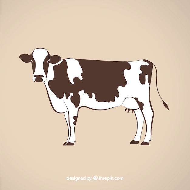 Cow illustration