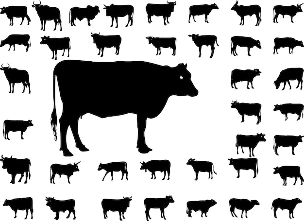 Cow silhouette pack vector