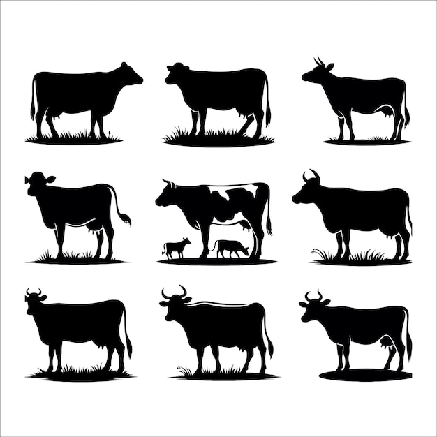 Vector cow silhouettes vector on white background