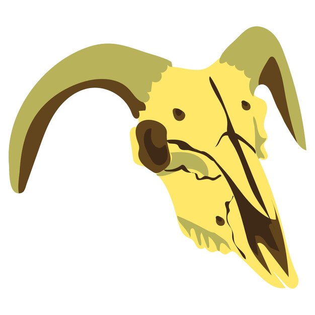 cows skull is sideways in color Vector illustration three shades of brown natural skull Halloween