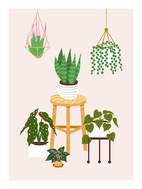 Cozy home decor Different potted houseplants wooden chair hanging pot illustration design