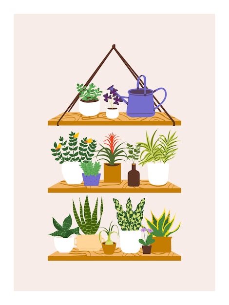 Cozy home illustration decorative style Houseplant potted plant different plants on shelf design