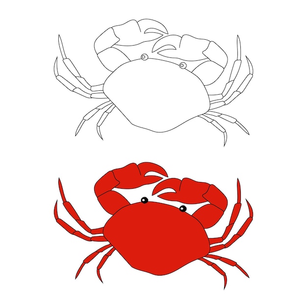 Vector crab clipart aquatic animals and sea animals clipart