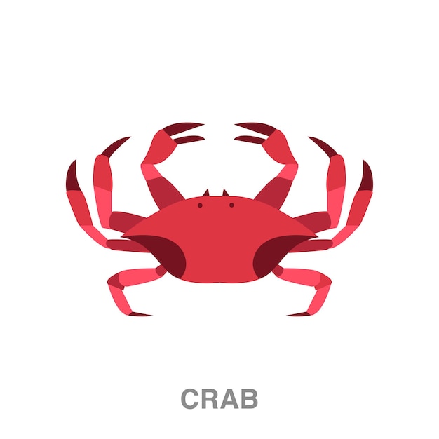 crab illustration on transparent background