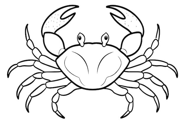 A crab is shown in a black and white drawing