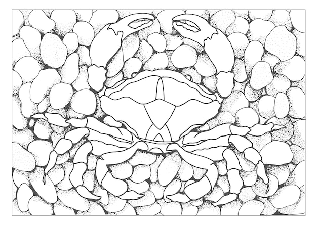 Crab on pebbles outline Coloring book for relaxation and stress relief