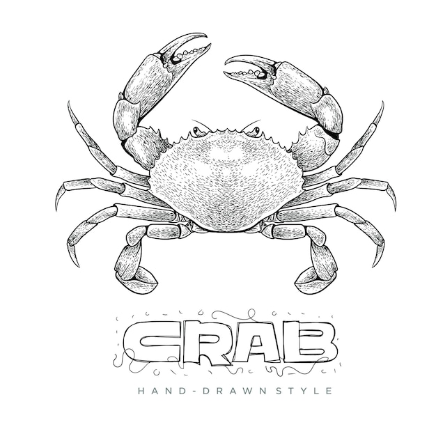 crab vector in hand drawn style. realistic animal illustrations